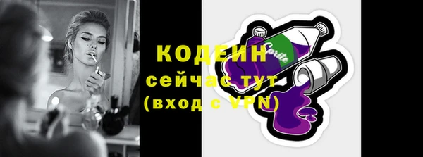 дживик Надым