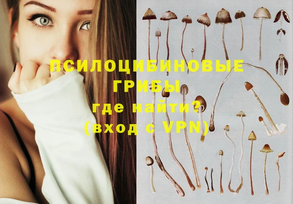 экстази Нея