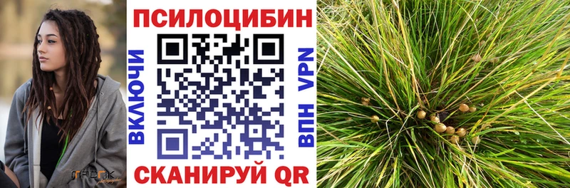 Купить где  Клин  Галлюциногенные грибы прущие грибы 